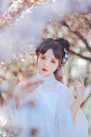 k第一季动漫完整版在线观看