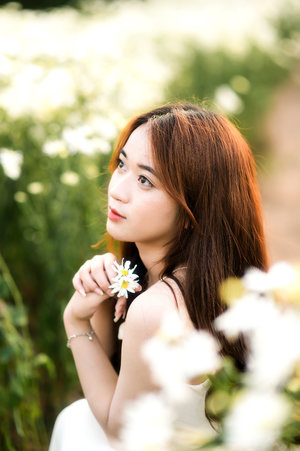 哥斯拉复活国语