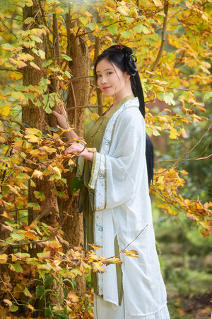 皇上撞着太子妃的沈音