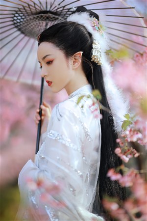 新黑暗圣经第二季观看