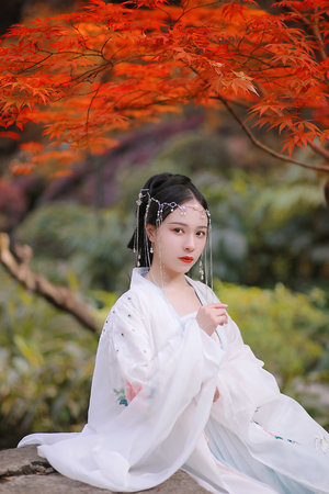 旧番拯救精灵森林第四集