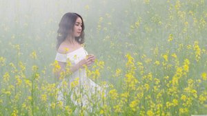 没有秘密的你电视剧免费观看