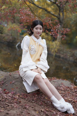 李小龙传奇电视剧免费观看完整版