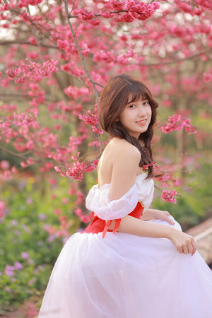 机动战士高达00第二部片尾曲