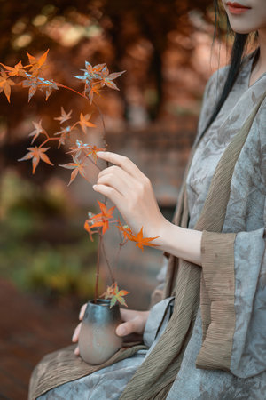 免费动漫在线观看