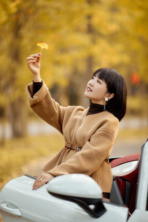 徐锦江电影全部电影大全免费