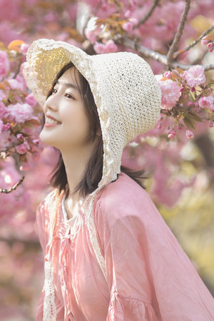 强案1980电影完整版在线观看