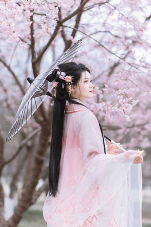 耳东兔子作品集