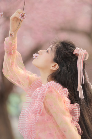 免费成人色直播