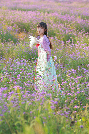 国产小视频A在线观看