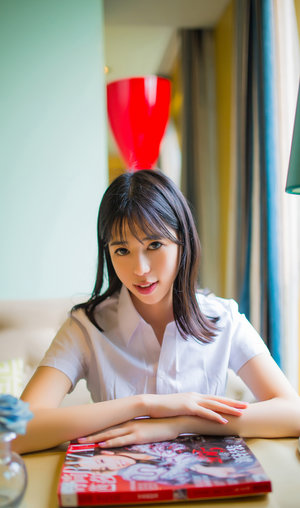 电视剧大红灯笼高高挂