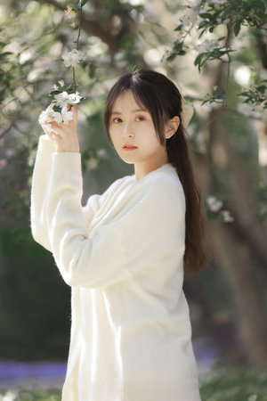 美人心计第40集高清免费全集播放