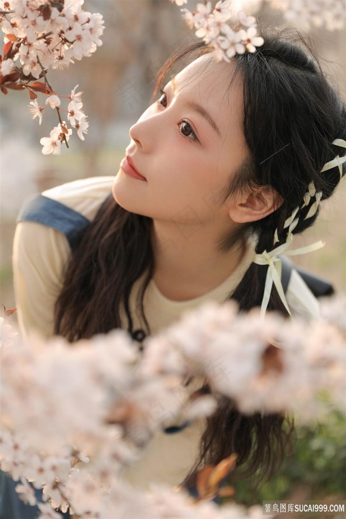 日本井苍空那可以看