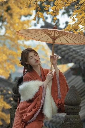 妻子6免费观看全集