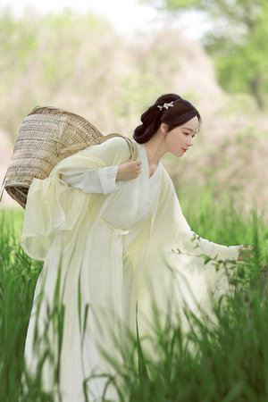 中日韩片电影大全