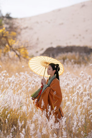 汤姆叔叔转接口