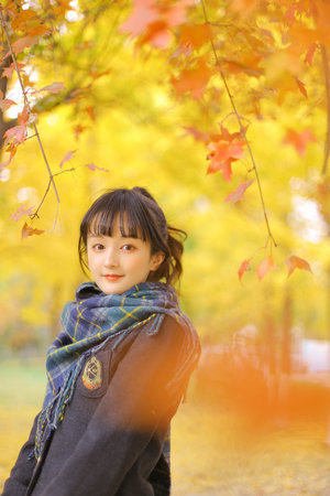 汪汪队长立大功免费观看全集