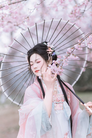 完美证据电视剧免费观看