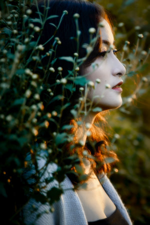 兄弟门剧情简介