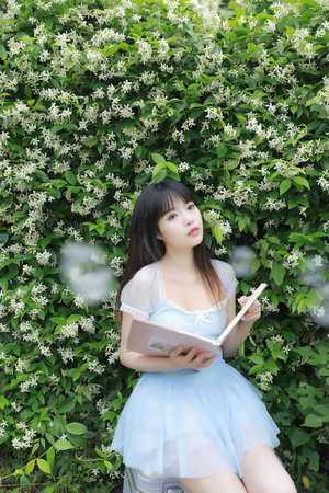 忘忧草跳转接口点击进入网站