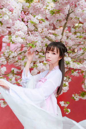 视频在线一区二区国产不卡