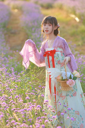 大唐荣耀第二部