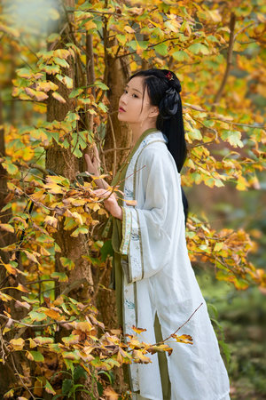 特殊部队的军妓H