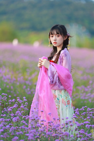 艳母动漫在线看