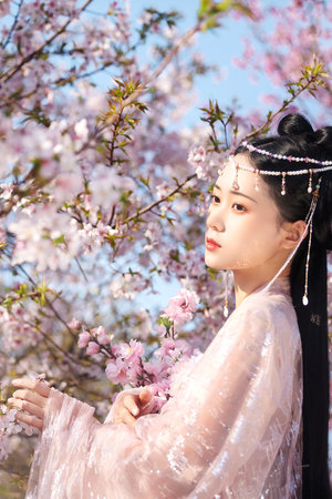 偷偷藏不住免费观看全集电视