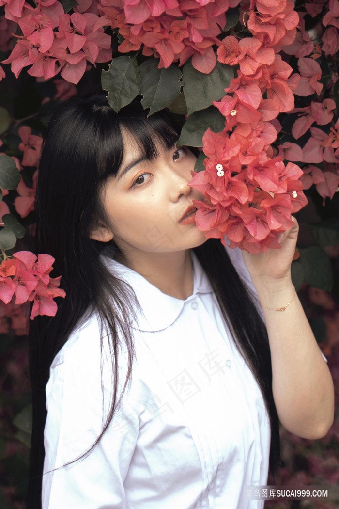 人间中毒在观完整有限中字