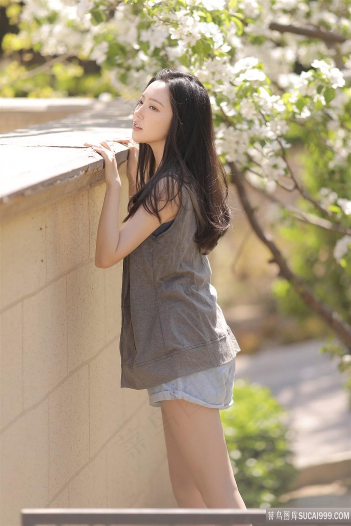 熊出没全集100集免费