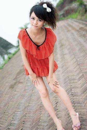 单机的打鱼游戏