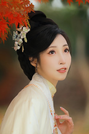 西游记张卫健版全集