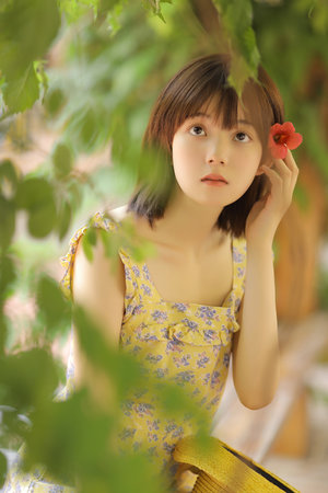 古宝奇缘演员表