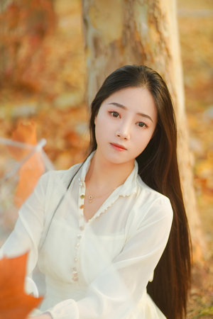 甲铁城的卡巴内