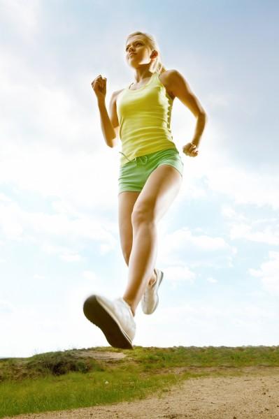 杨家后宅蝎子全本