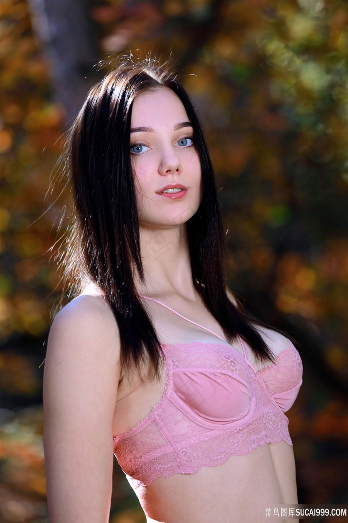 狂飙电视剧西瓜影视免费观看全集