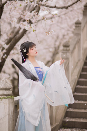 八戒八戒看片在线观看网盘