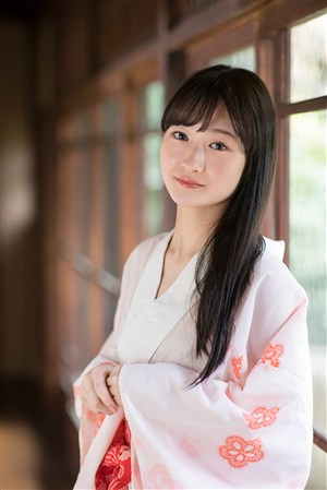 我的团长我的团免费观看完整版