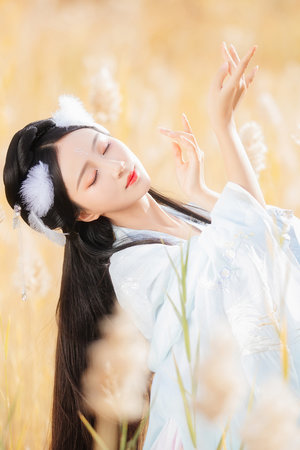 忘忧草在线影院