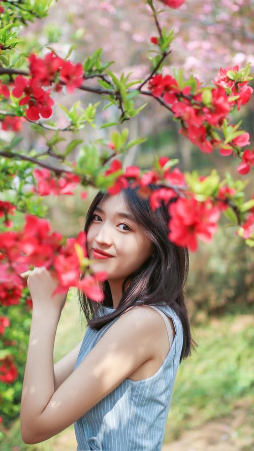 三上悠亚在线视频观看