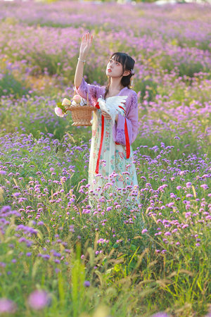 小尾巴很甜竹安佐和记全本