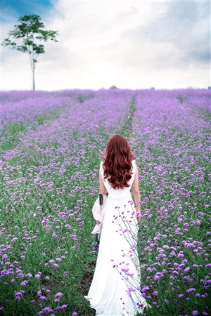 夜夜撸a4yy青苹果