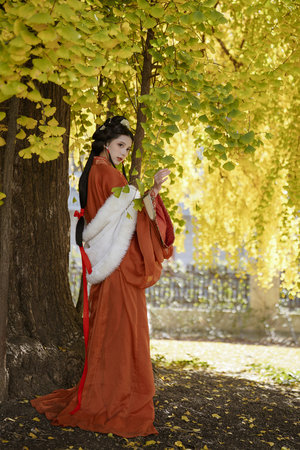 仙逆1到76集免费观看