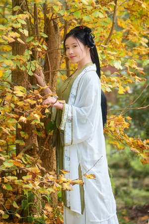 欧美一区二区在线观看免费网站