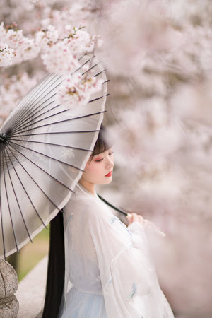 龙珠女角色去掉所有服装