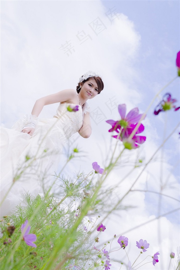 野花社区在线观看免费观看动漫