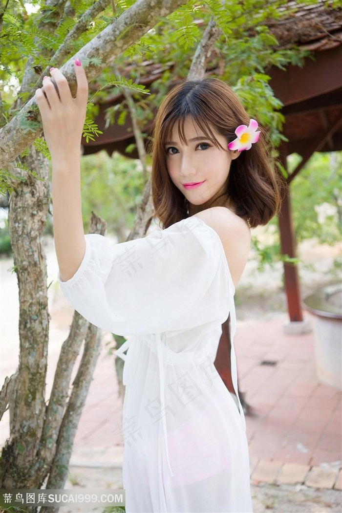 大军师司马懿之虎啸龙吟下载