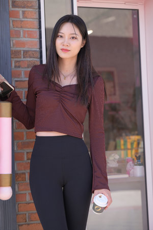 金花瓶楷梅花2陈圆圆