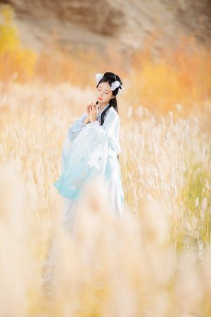 国产性tv国产精品